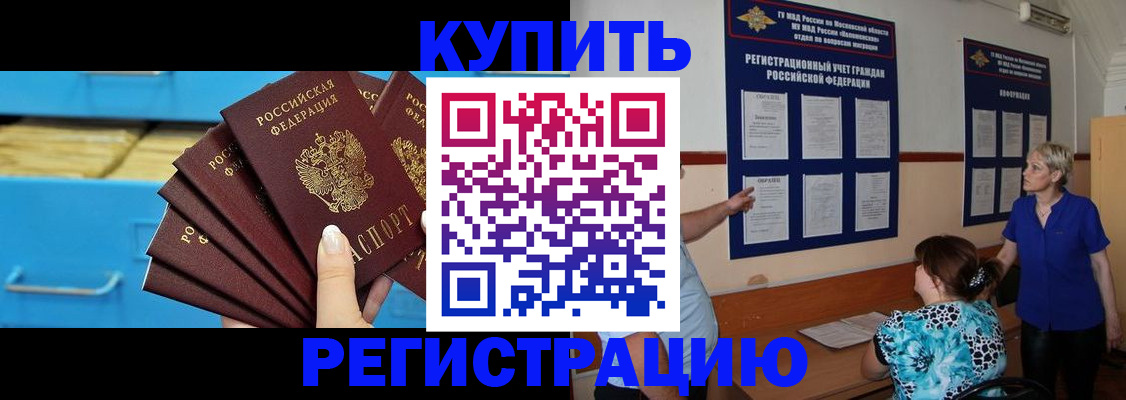 прописка гарантия в Нововоронеже